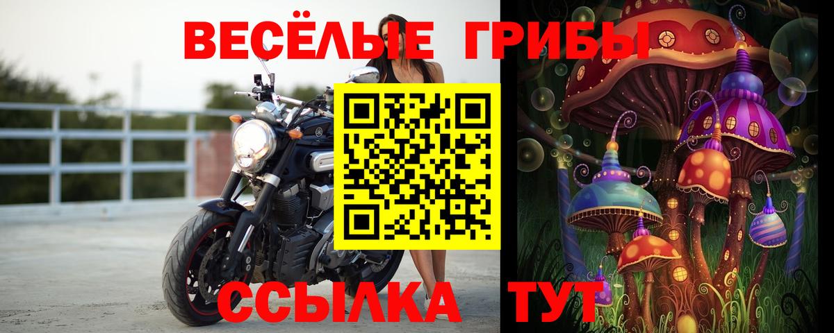 Галлюциногенные грибы мицелий  Вход с VPN  Феодосия 